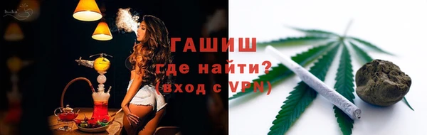 a pvp Бородино