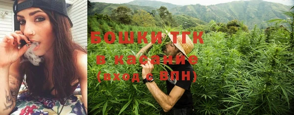 PSILOCYBIN Бугульма